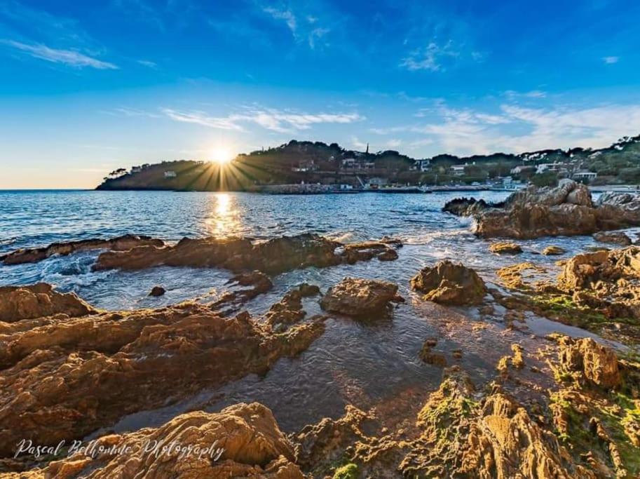 T2: 45M2 :4 Places :Independant Dans Villa Hyeres Ngoại thất bức ảnh