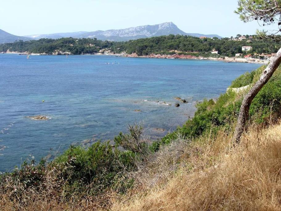 T2: 45M2 :4 Places :Independant Dans Villa Hyeres Ngoại thất bức ảnh