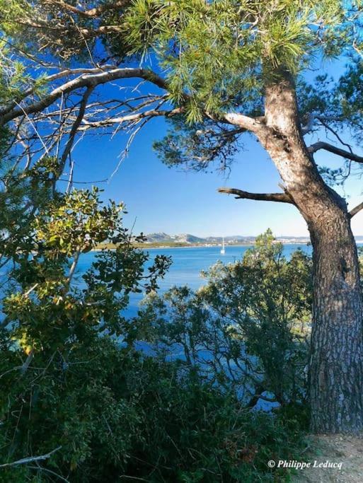 T2: 45M2 :4 Places :Independant Dans Villa Hyeres Ngoại thất bức ảnh