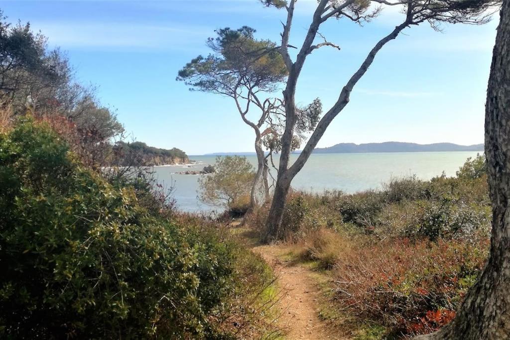 T2: 45M2 :4 Places :Independant Dans Villa Hyeres Ngoại thất bức ảnh