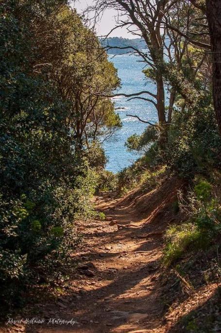 T2: 45M2 :4 Places :Independant Dans Villa Hyeres Ngoại thất bức ảnh
