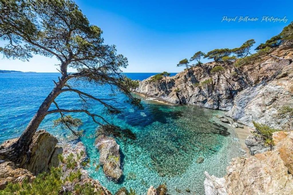 T2: 45M2 :4 Places :Independant Dans Villa Hyeres Ngoại thất bức ảnh