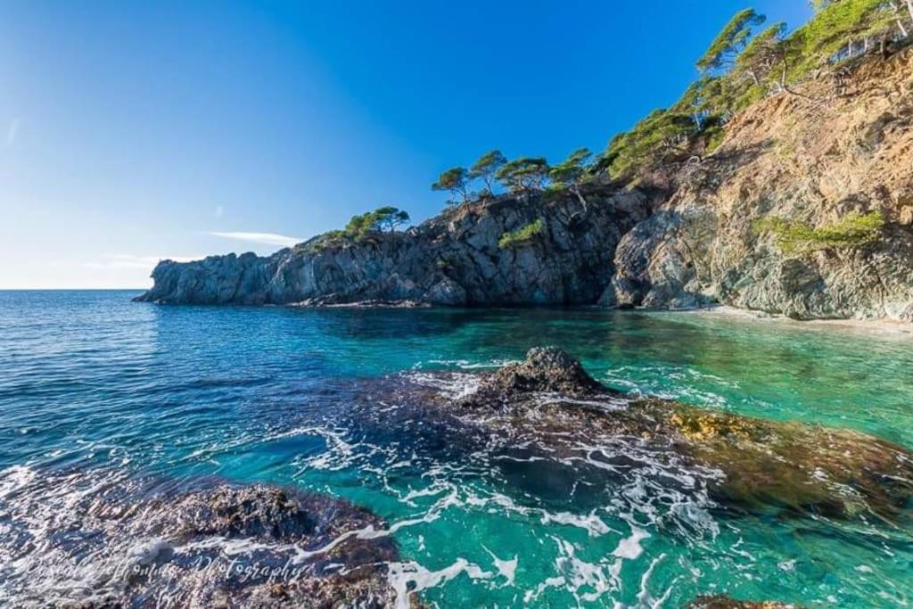 T2: 45M2 :4 Places :Independant Dans Villa Hyeres Ngoại thất bức ảnh